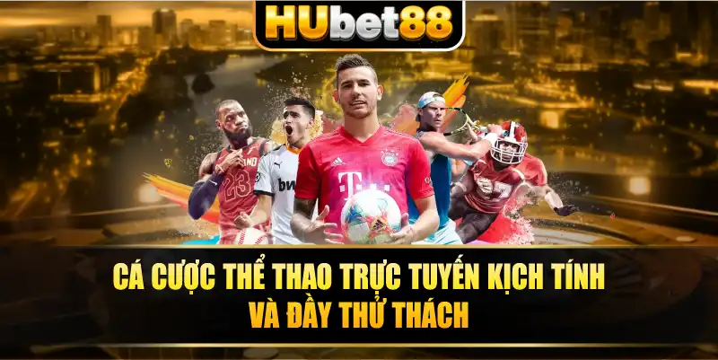 Cá cược thể thao trực tuyến kịch tính và đầy thử thách