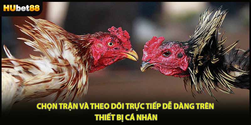 Chọn trận và theo dõi trực tiếp dễ dàng trên thiết bị cá nhânc