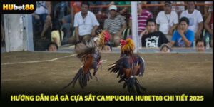 Hướng Dẫn Đá Gà Cựa Sắt Campuchia HUBET88 Chi Tiết 2025