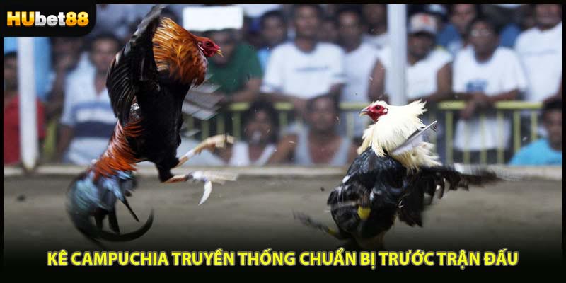 Kê Campuchia truyền thống chuẩn bị trước trận đấu