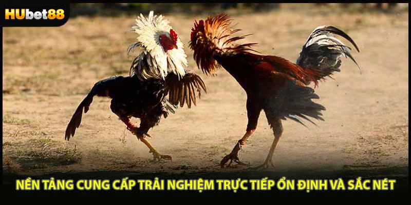 Nền tảng cung cấp trải nghiệm trực tiếp ổn định và sắc nét