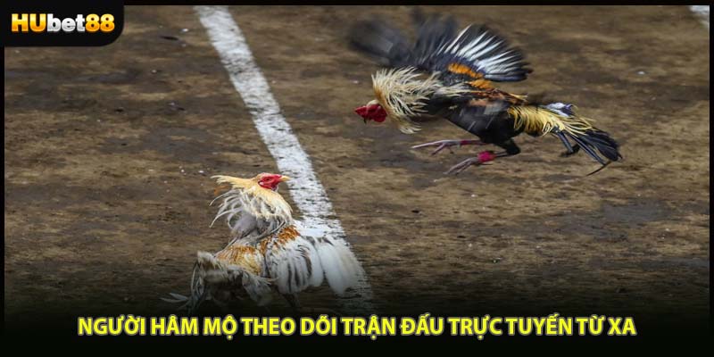 Người hâm mộ theo dõi trận đấu trực tuyến từ xa
