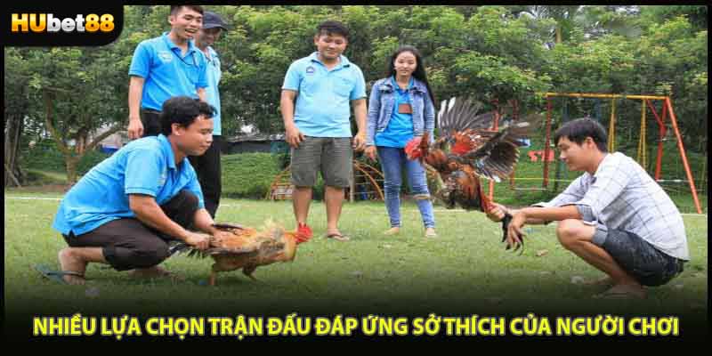 Nhiều lựa chọn trận đấu đáp ứng sở thích của người chơi