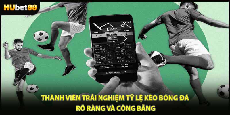 Thành viên trải nghiệm tỷ lệ kèo bóng đá rõ ràng và công bằng