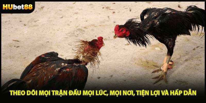 Theo dõi mọi trận đấu mọi lúc, mọi nơi, tiện lợi và hấp dẫn